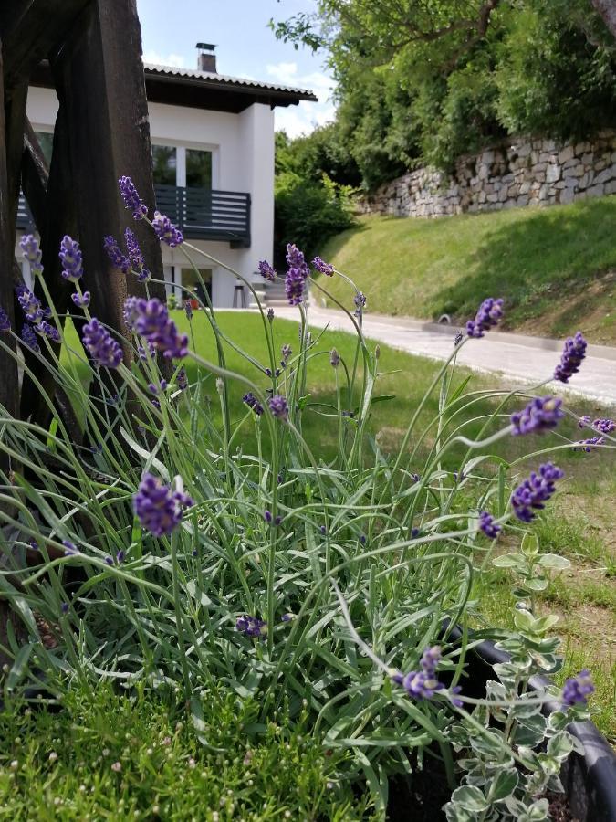 Hillside Rooms Pörtschach am Wörthersee Dış mekan fotoğraf